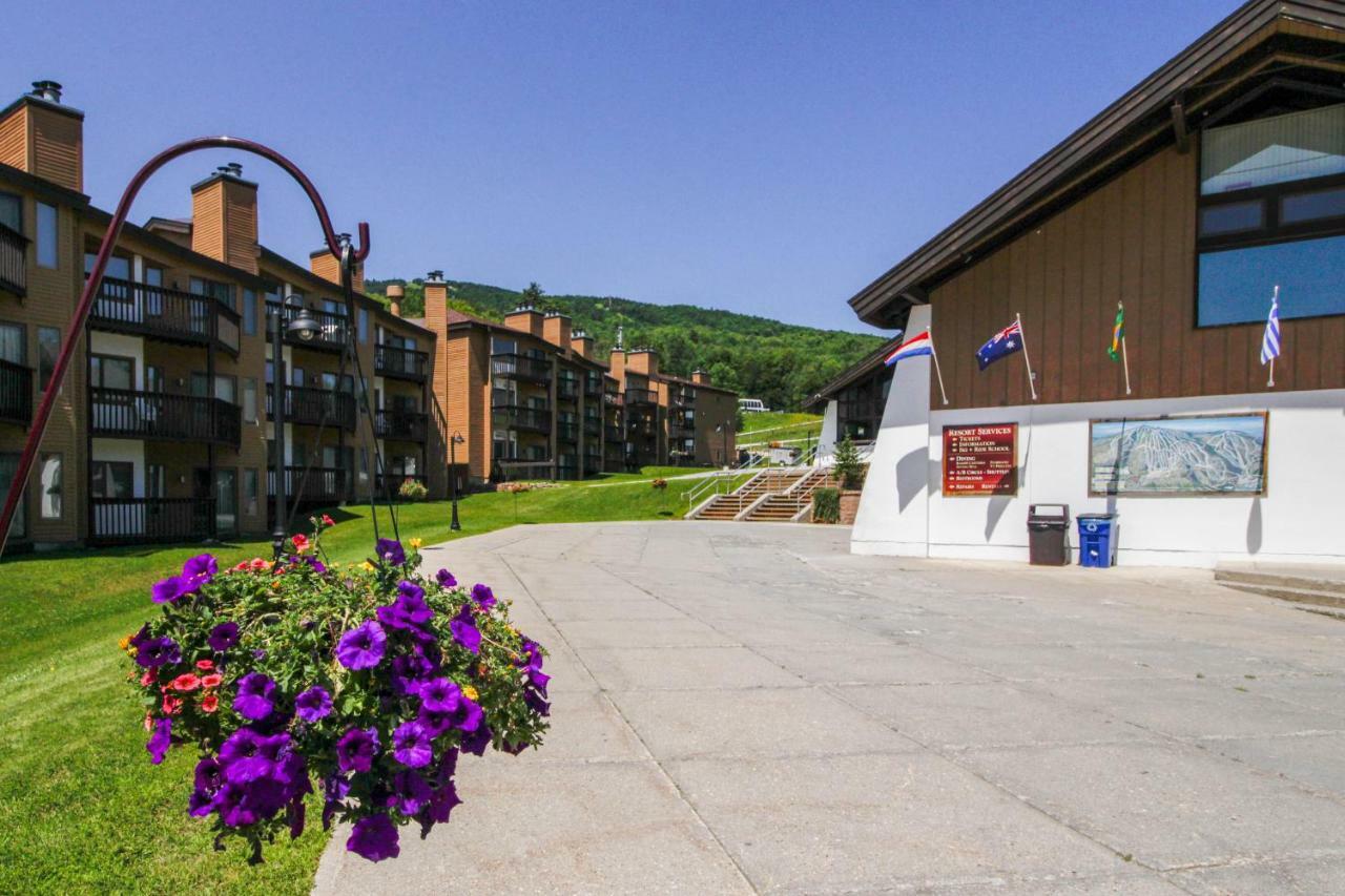 לדלו Okemo Mountain Condo מראה חיצוני תמונה